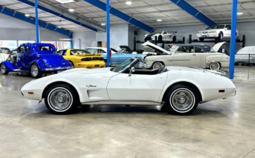 Chevrolet-Corvette-1975-Other-3