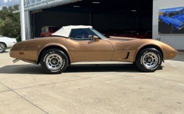Chevrolet-Corvette-1975-Sedan-10