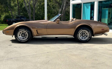 Chevrolet-Corvette-1975-Sedan-8