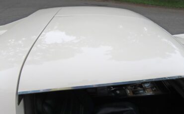Chevrolet-Corvette-1976-Coupe-20