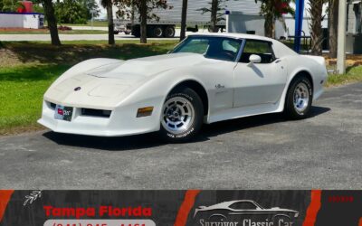 Chevrolet Corvette 1976 Coupe