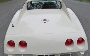 Chevrolet-Corvette-1976-Coupe-8