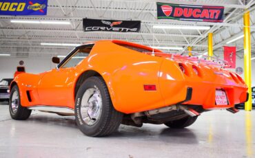 Chevrolet-Corvette-1976-Other-18