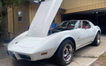 Chevrolet-Corvette-1976-white-12