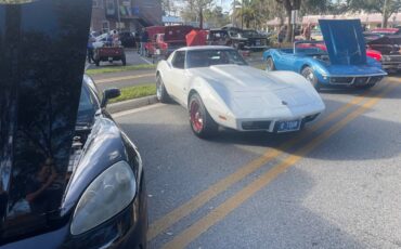 Chevrolet-Corvette-1976-white-8