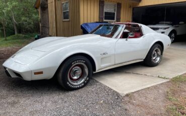 Chevrolet-Corvette-1976-white-9