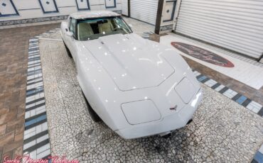Chevrolet-Corvette-1977-13