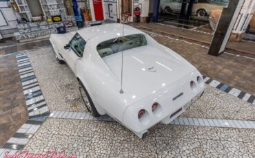 Chevrolet-Corvette-1977-28