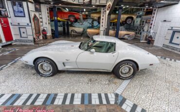 Chevrolet-Corvette-1977-31