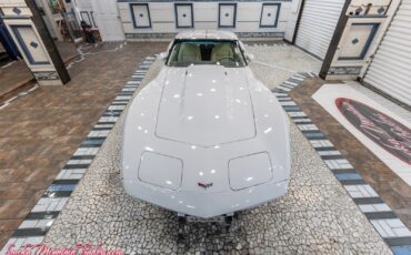 Chevrolet-Corvette-1977-8