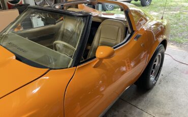 Chevrolet-Corvette-1977-8