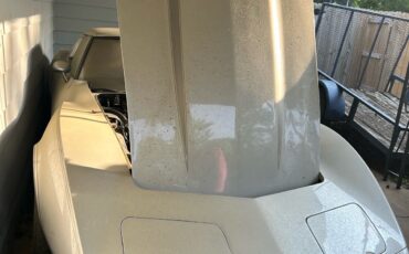 Chevrolet-Corvette-1978-1