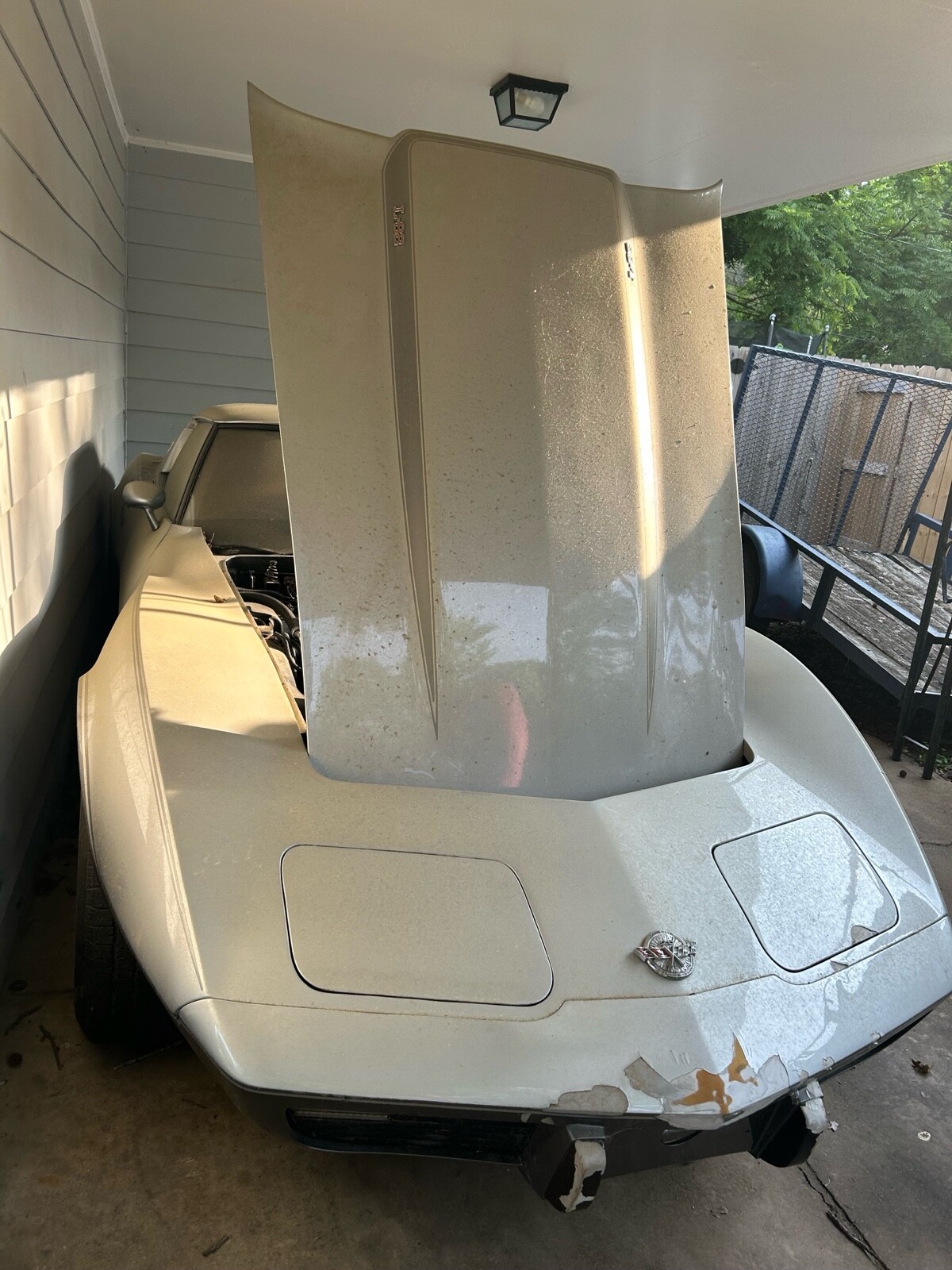 Chevrolet-Corvette-1978-1