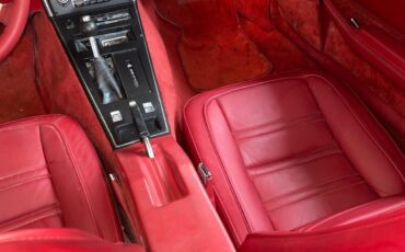 Chevrolet-Corvette-1978-11