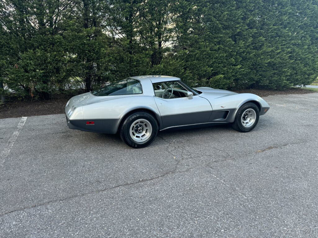 Chevrolet-Corvette-1978-11