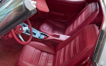 Chevrolet-Corvette-1978-13