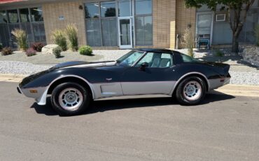 Chevrolet-Corvette-1978-14