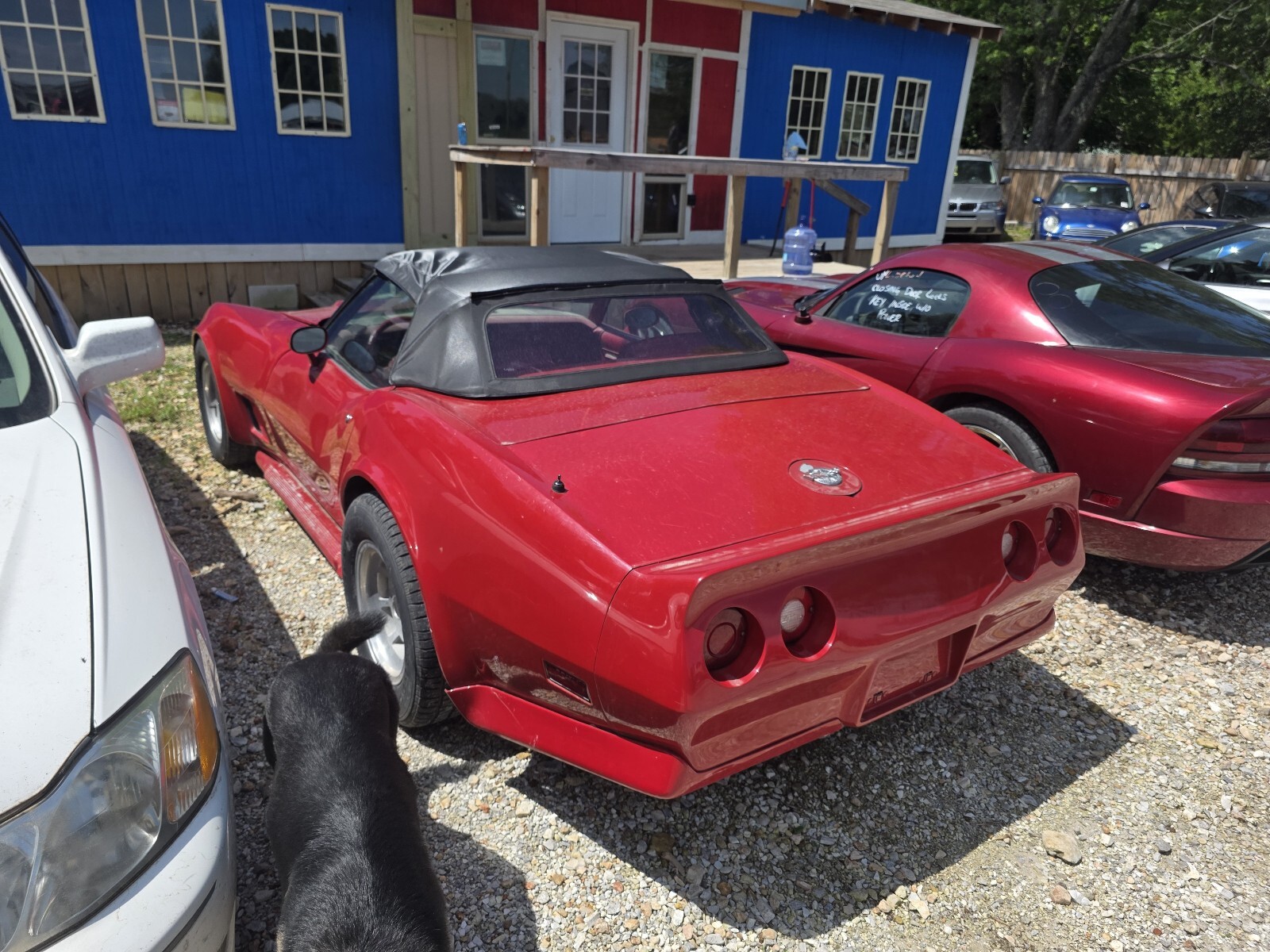 Chevrolet-Corvette-1978-3