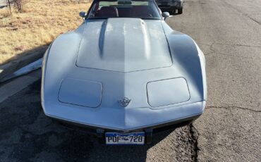 Chevrolet-Corvette-1978-30