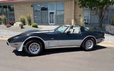 Chevrolet-Corvette-1978-36