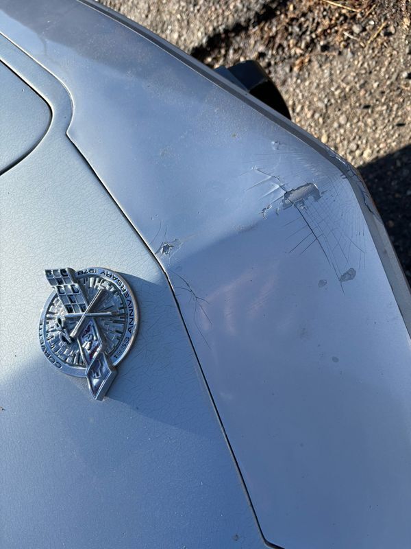 Chevrolet-Corvette-1978-36