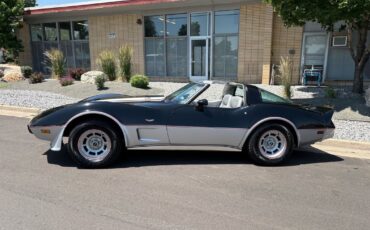 Chevrolet-Corvette-1978-39