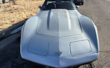 Chevrolet-Corvette-1978-6