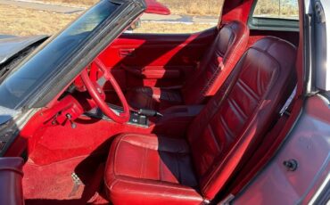 Chevrolet-Corvette-1978-7