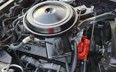 Chevrolet-Corvette-1978-Coupe-16