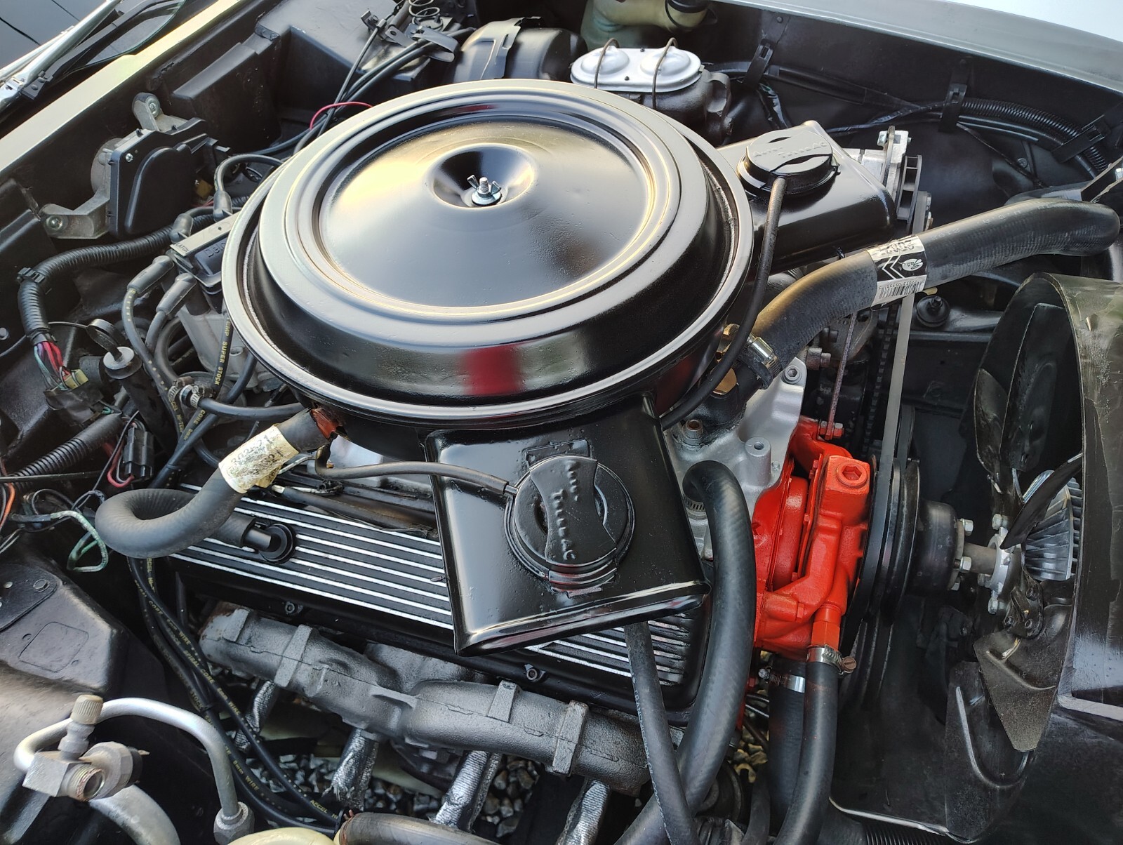 Chevrolet-Corvette-1978-Coupe-16