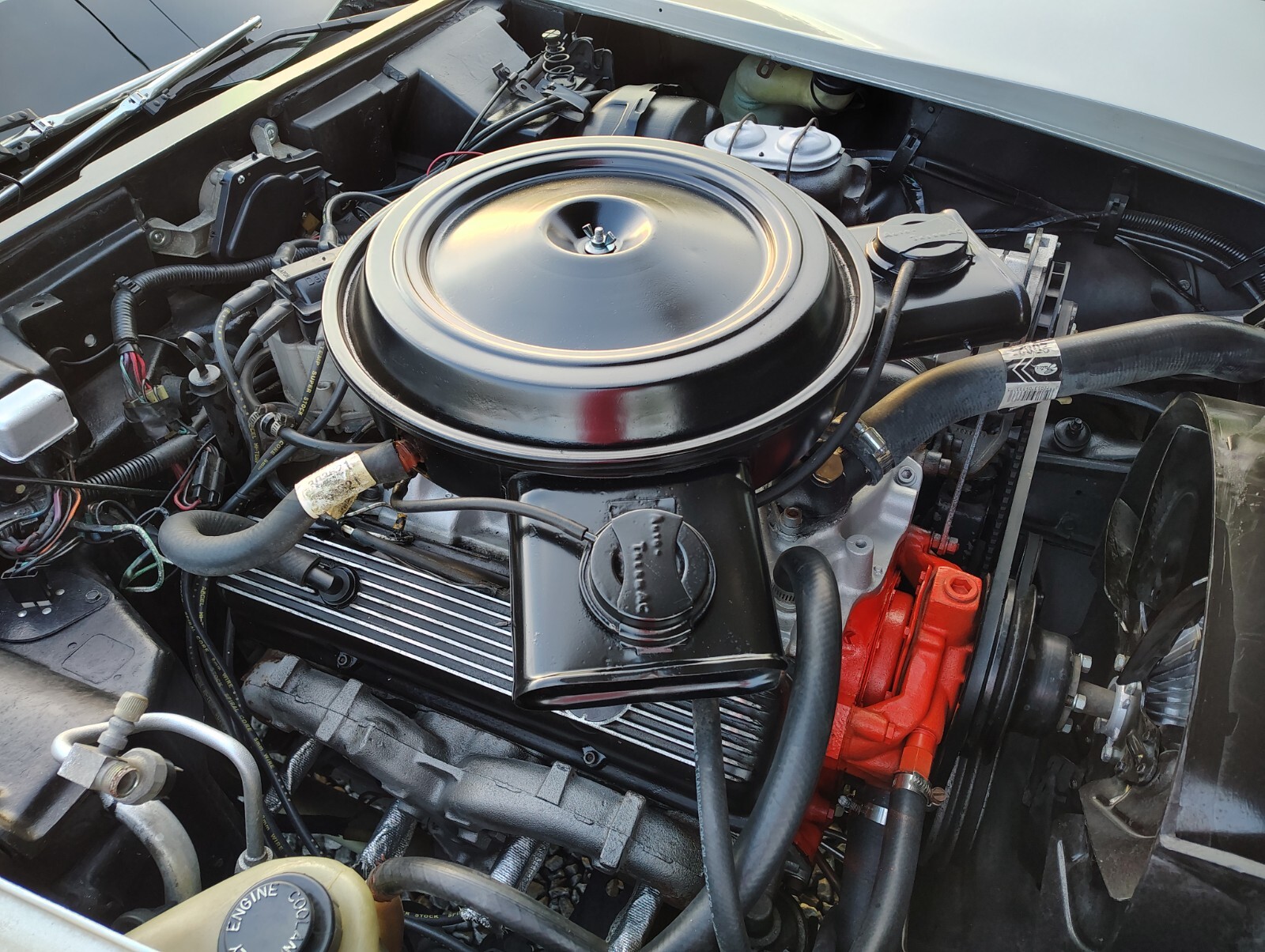 Chevrolet-Corvette-1978-Coupe-17