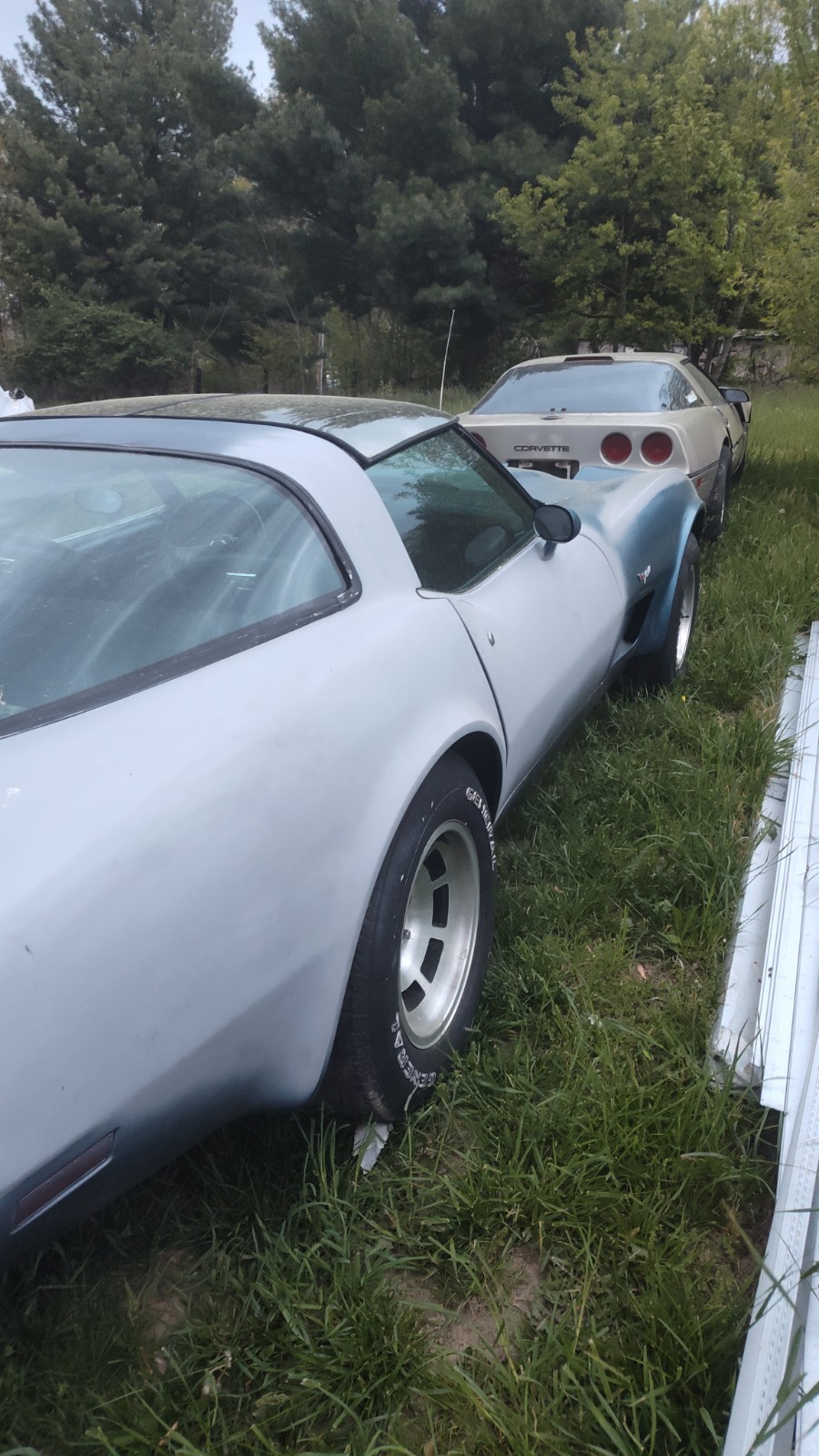 Chevrolet-Corvette-1978-Coupe-2