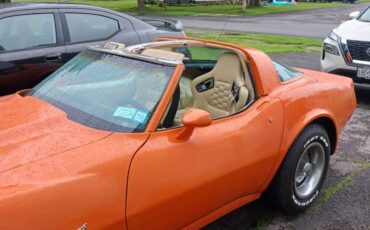 Chevrolet-Corvette-1978-orange-5