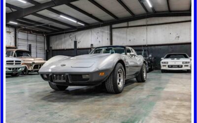 Chevrolet Corvette  1978 silver