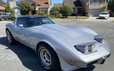 Chevrolet-Corvette-1979-13