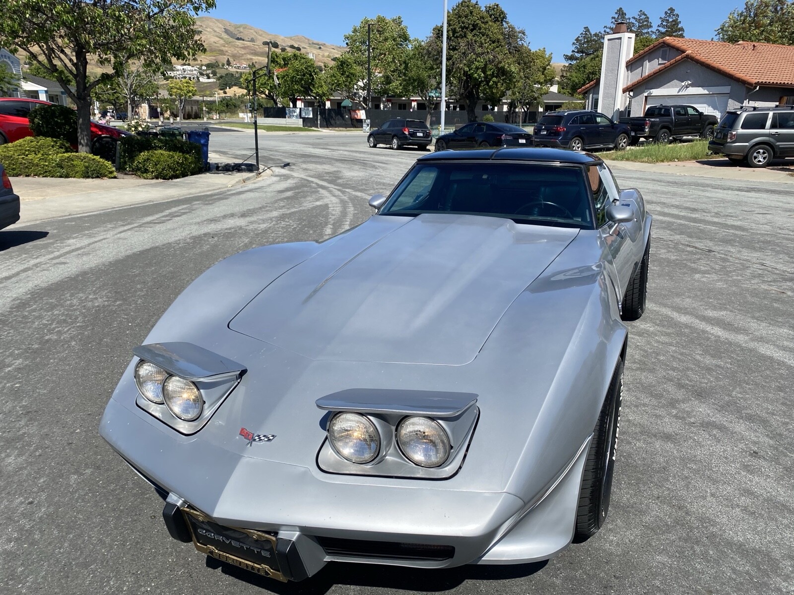 Chevrolet-Corvette-1979-14