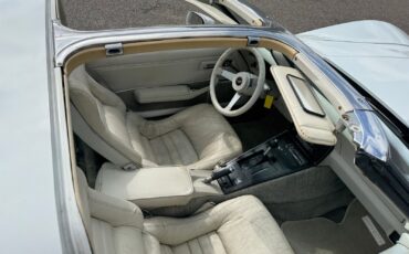Chevrolet-Corvette-1979-16