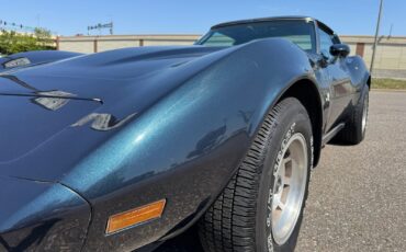 Chevrolet-Corvette-1979-Coupe-17