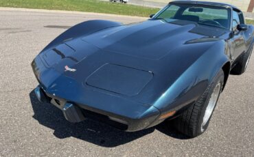 Chevrolet-Corvette-1979-Coupe-18