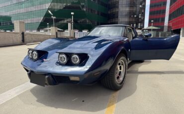 Chevrolet-Corvette-1979-Coupe-26