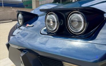 Chevrolet-Corvette-1979-Coupe-28
