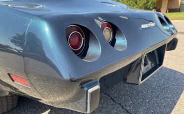 Chevrolet-Corvette-1979-Coupe-28