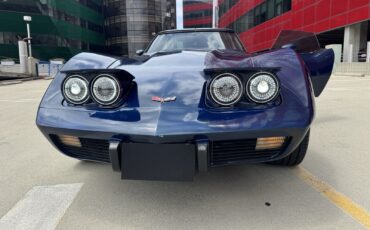 Chevrolet-Corvette-1979-Coupe-29