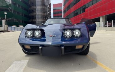 Chevrolet-Corvette-1979-Coupe-34