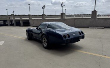 Chevrolet-Corvette-1979-Coupe-37