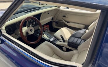 Chevrolet-Corvette-1979-Coupe-39