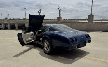 Chevrolet-Corvette-1979-Coupe-6