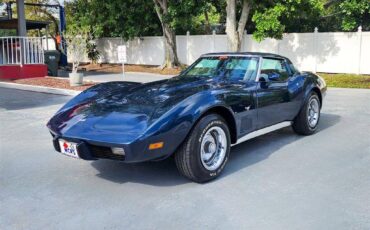 Chevrolet-Corvette-1979-blue-11