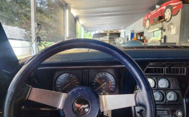 Chevrolet-Corvette-1979-blue-18