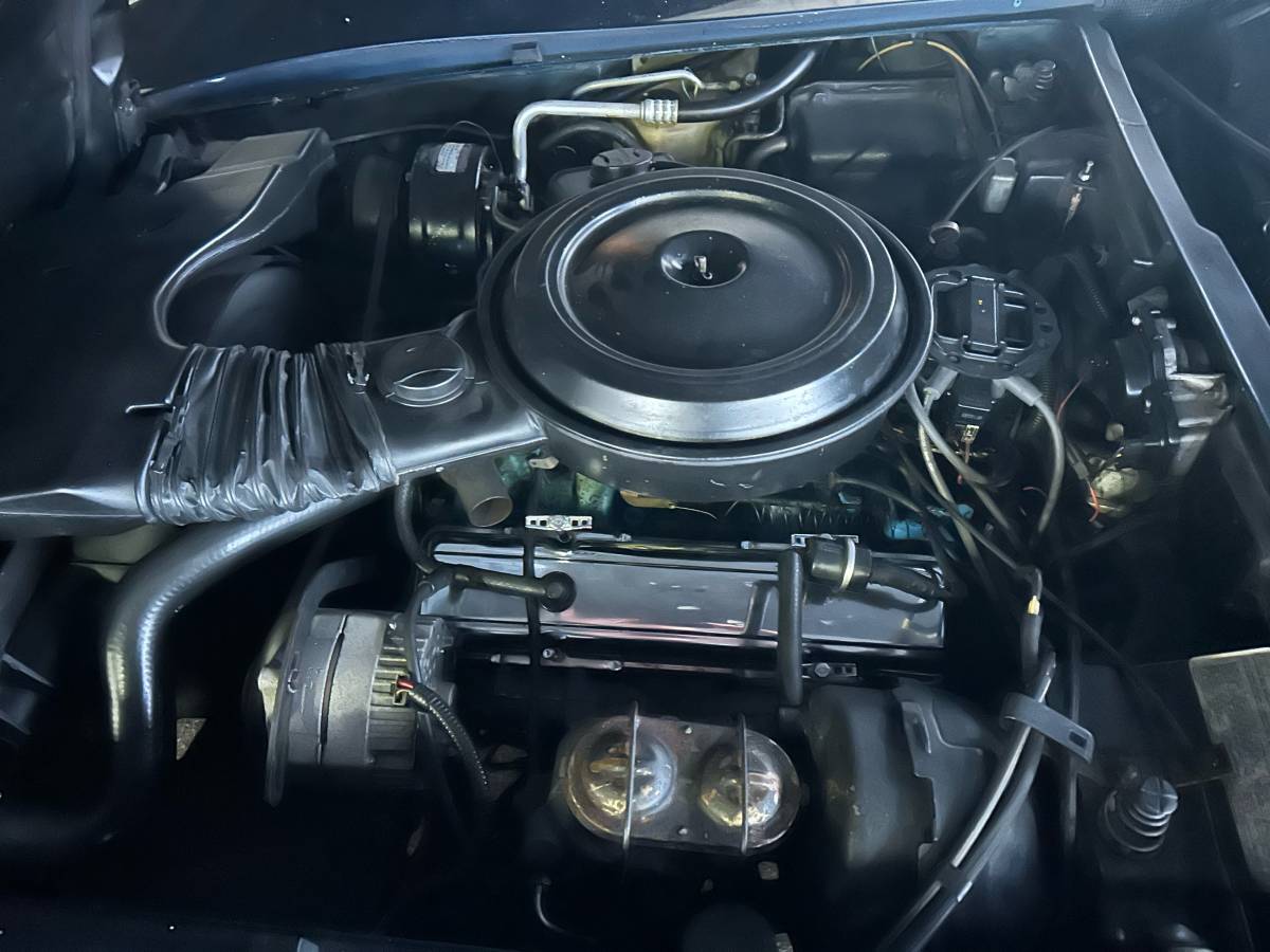 Chevrolet Corvette  1979 blue